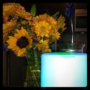 Meet your Posher, Mia